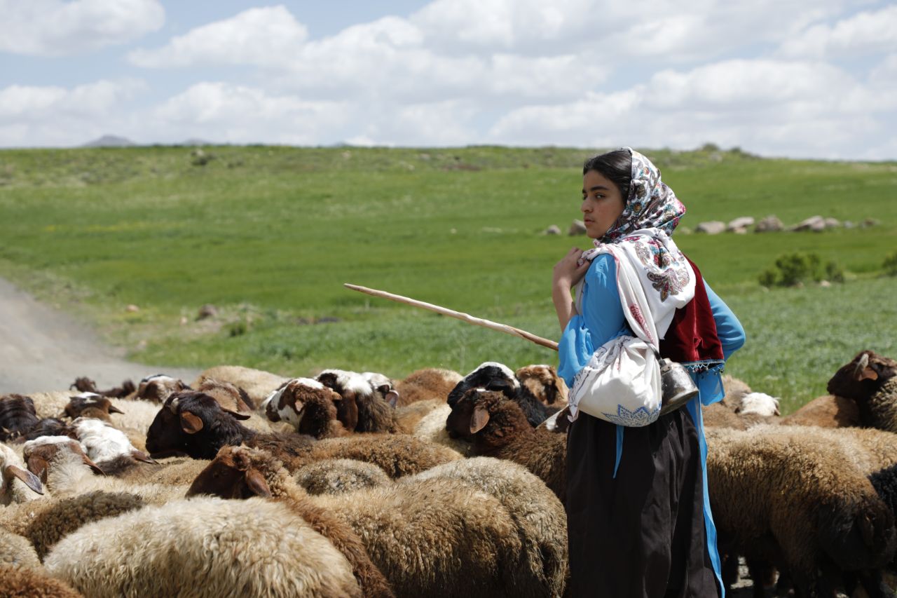 دشت می‌خواند