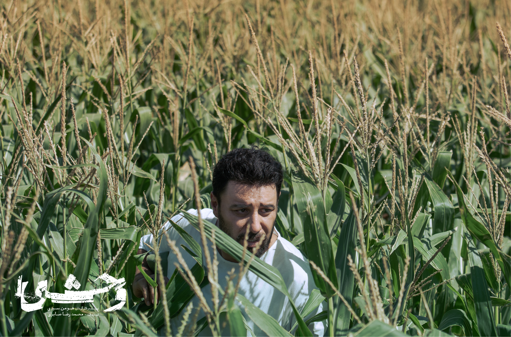 عکس های سریال وحشی