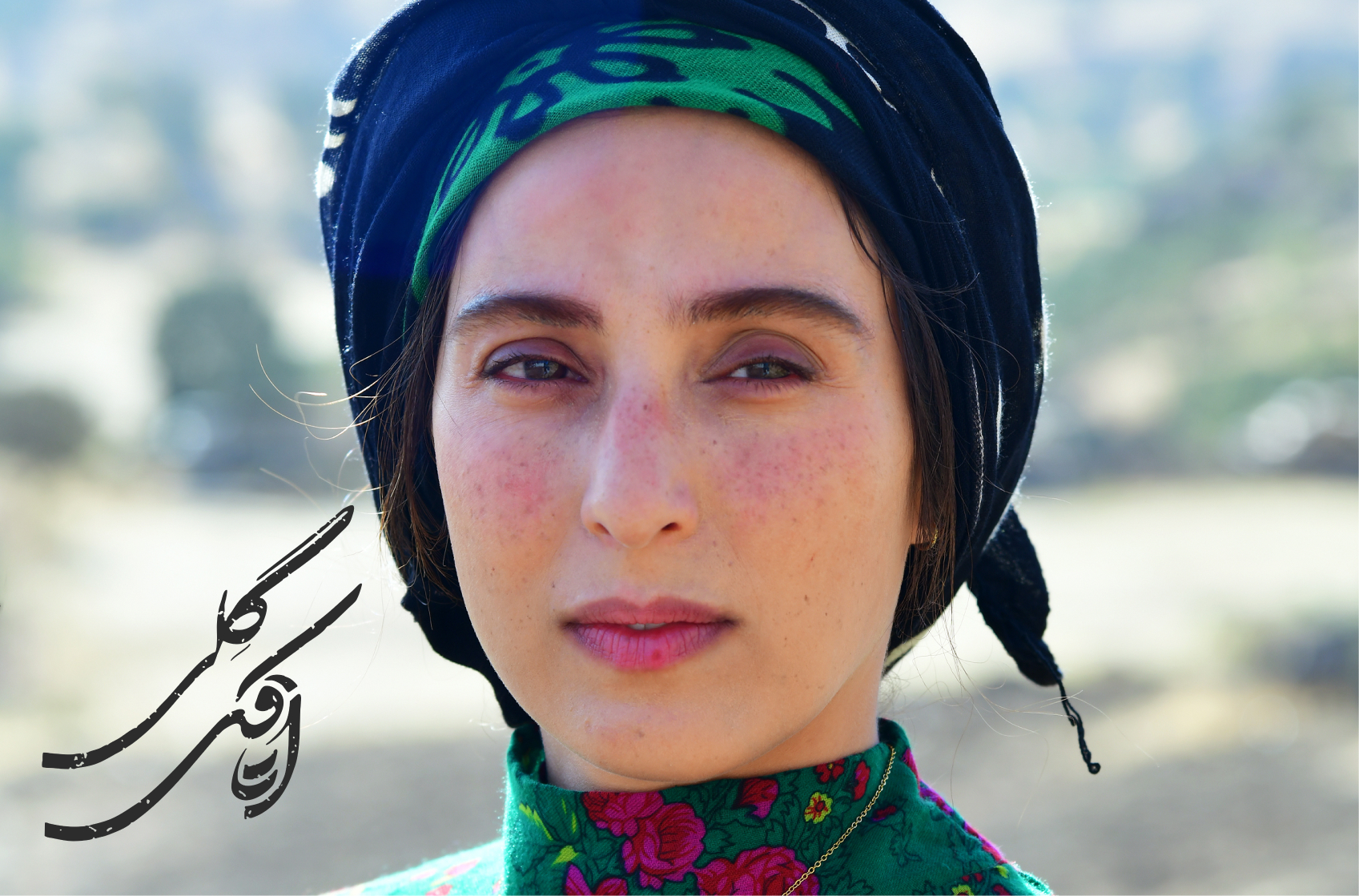 عکس های اتاقک گلی