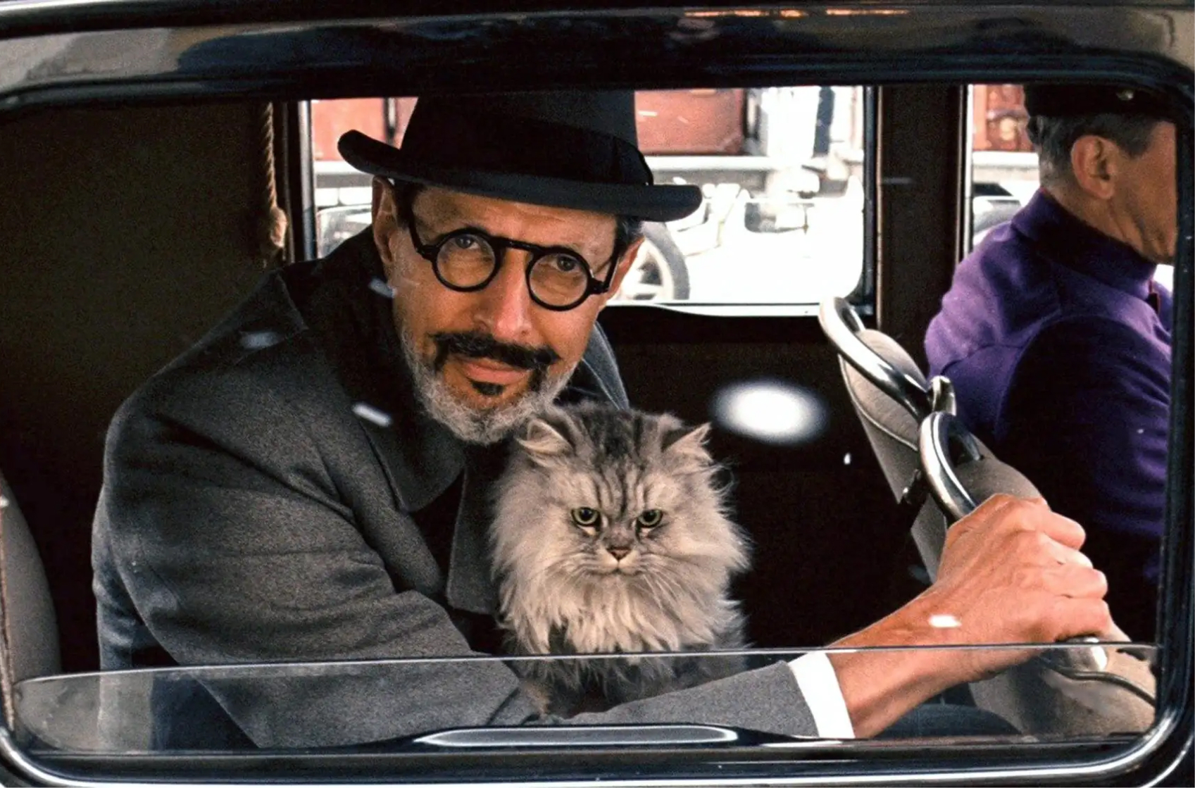The Grand Budapest Hotel cat