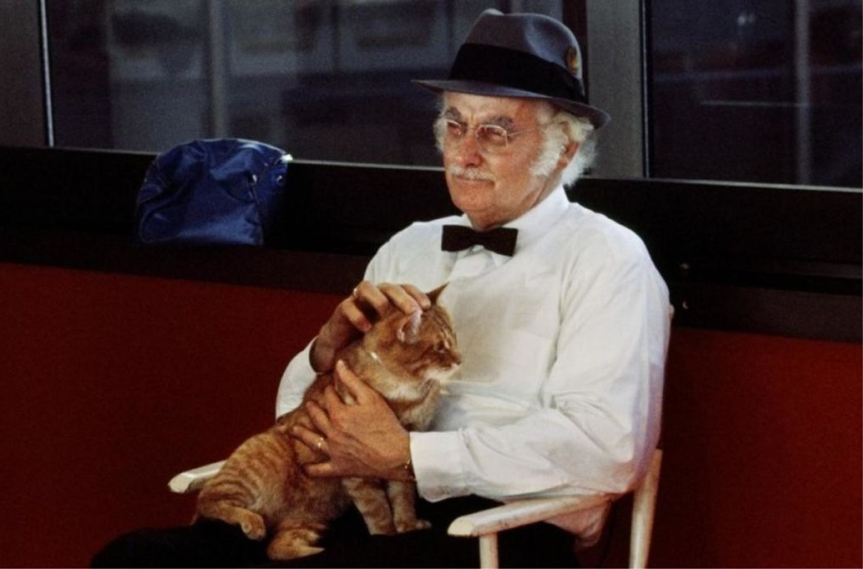 cat Harry and Tonto