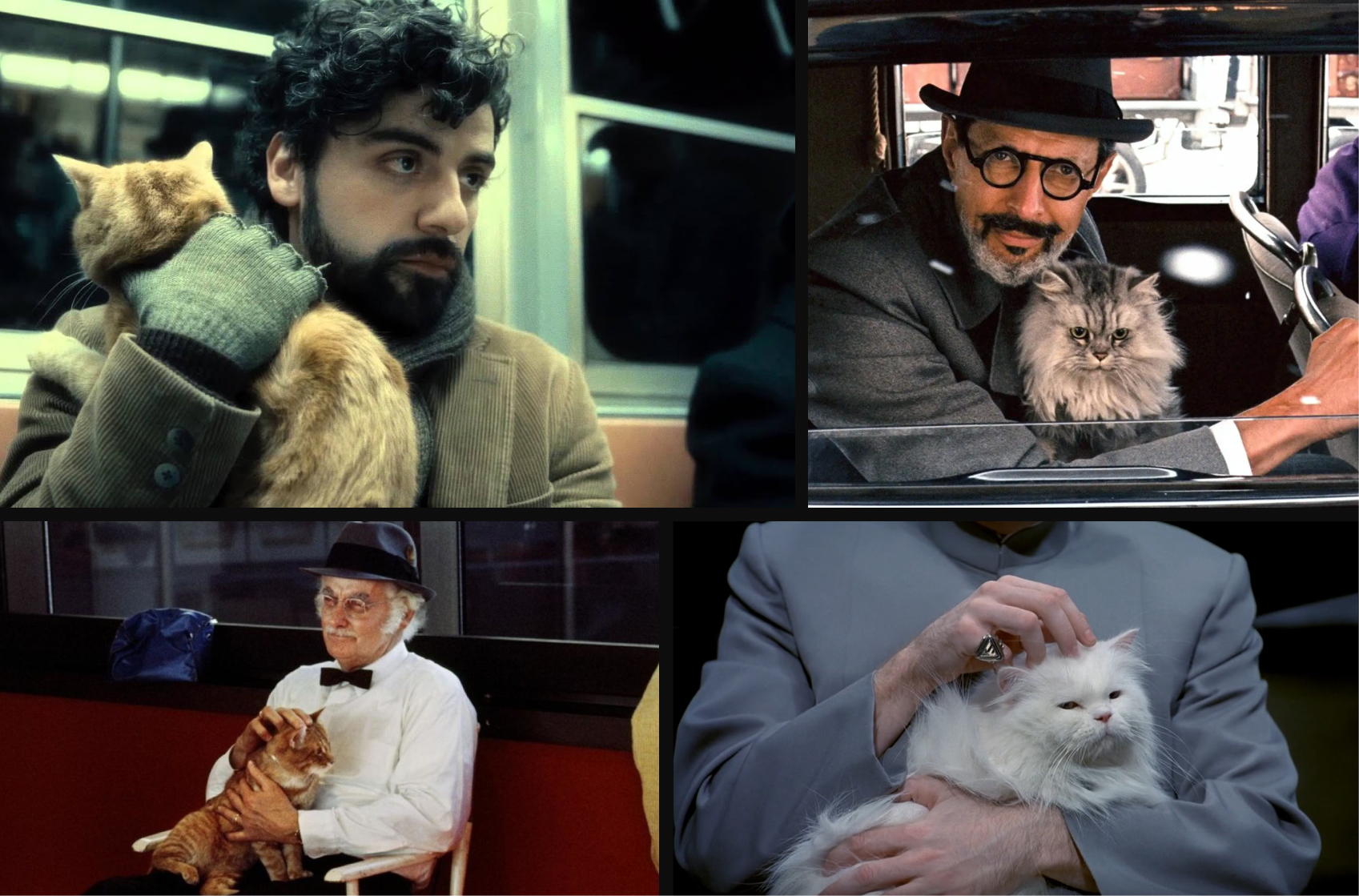 ۱۰ فیلم معروف تاریخ سینما با گربه‌هایی که نقش کلیدی در داستان دارندcats in movies