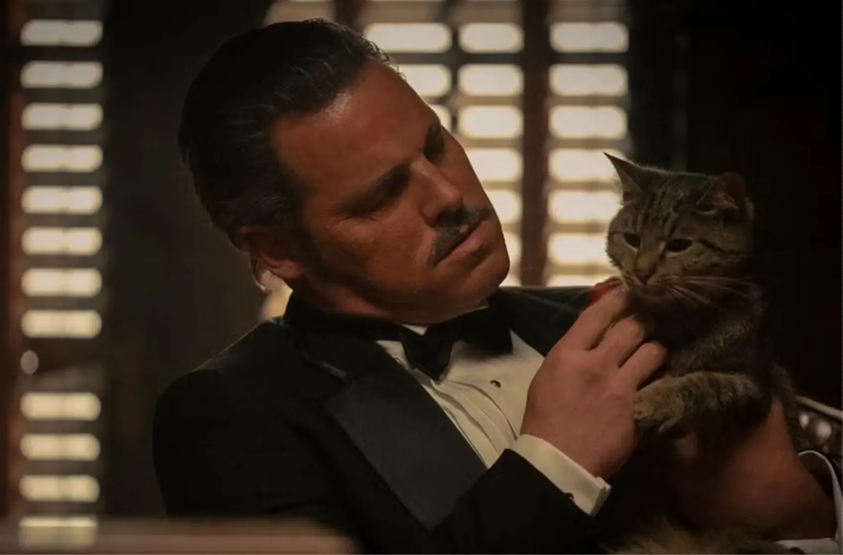 godfather cat