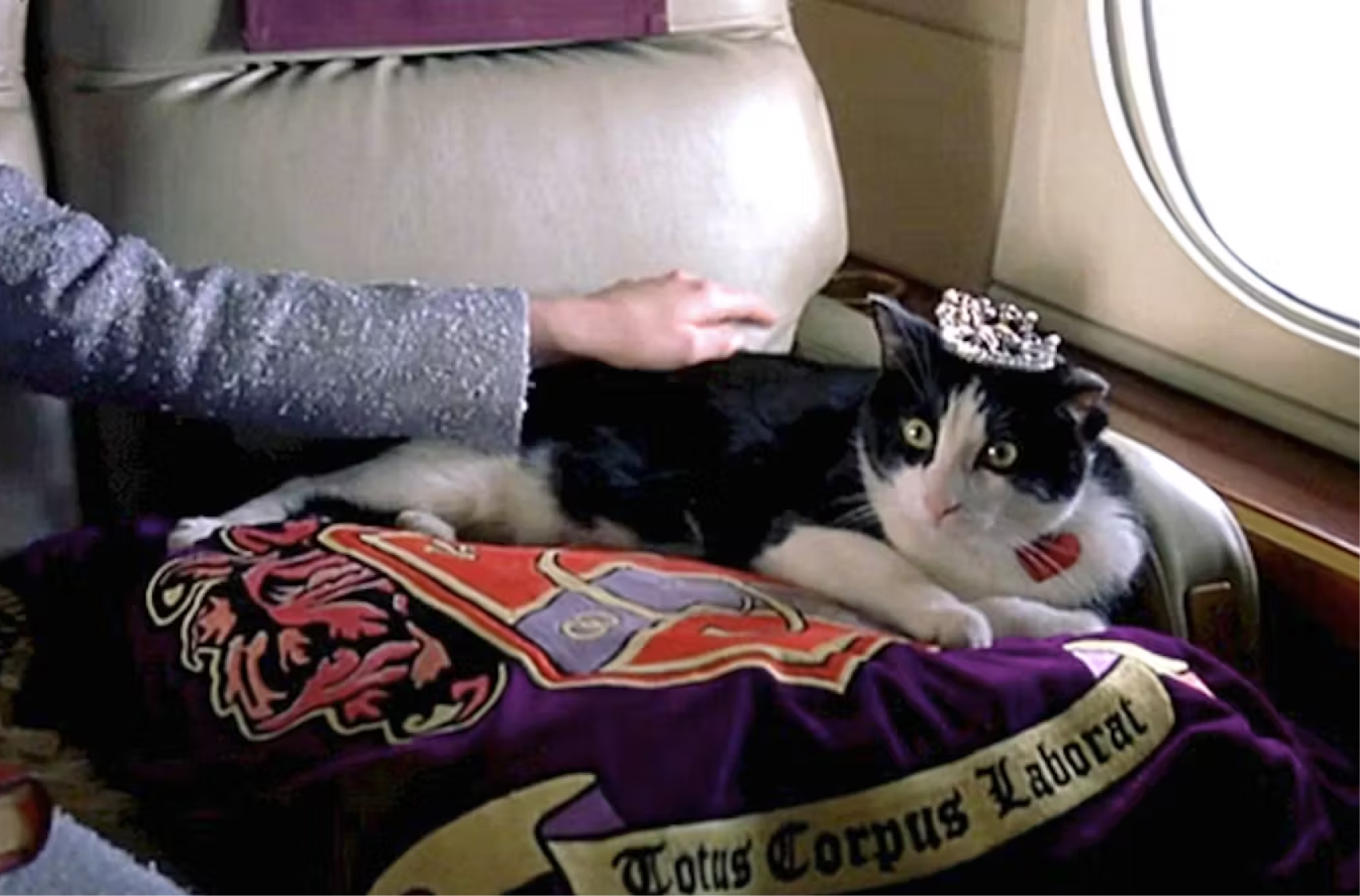 the princess diaries cat