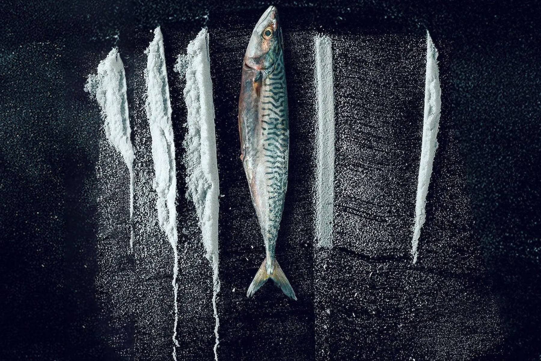 مستند جزر و مد