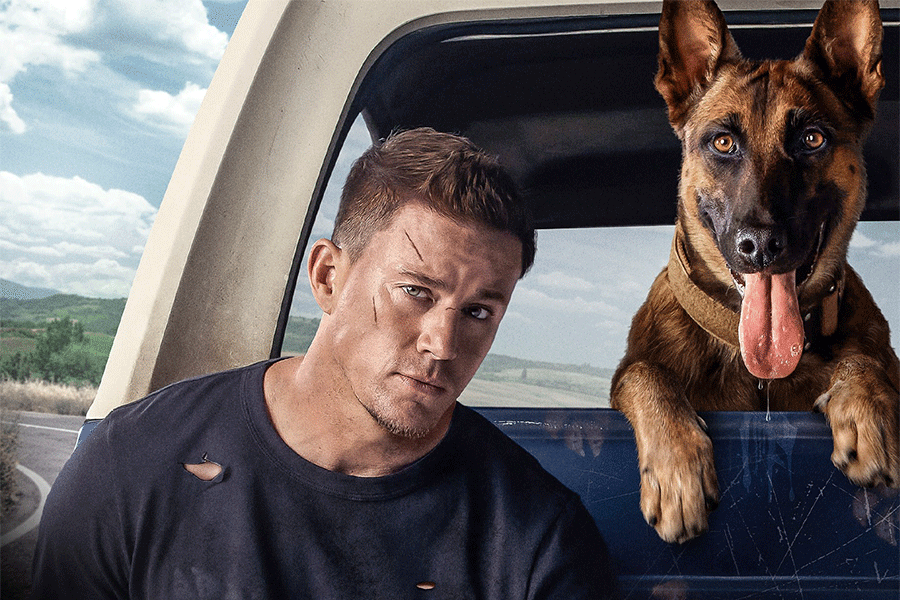 10 فیلم سینمایی که سگها نقش کلیدی در آنها دارند