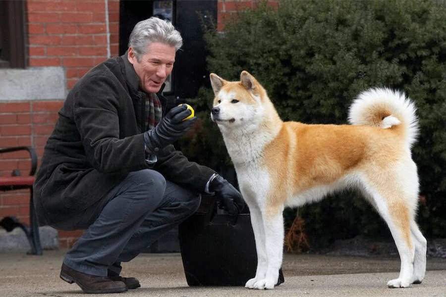 10 فیلم سینمایی که سگها نقش کلیدی در آنها دارند