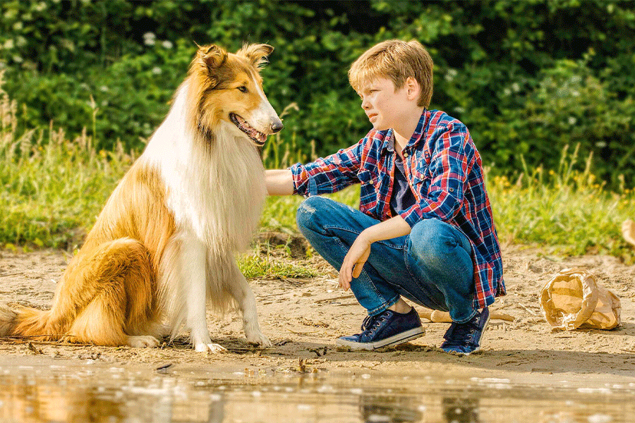 10 فیلم سینمایی که سگها نقش کلیدی در آنها دارند
