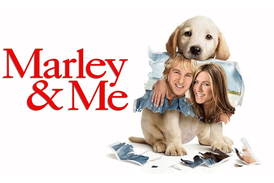 10 فیلم سینمایی که سگها نقش کلیدی در آنها دارند