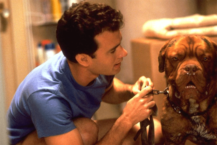 10 فیلم سینمایی که سگها نقش کلیدی در آنها دارند