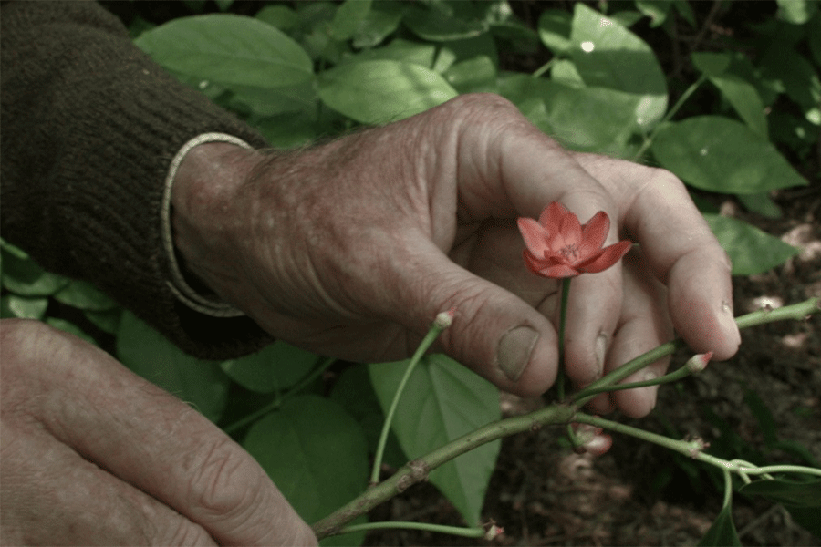 10 فیلم برتر سال 2025