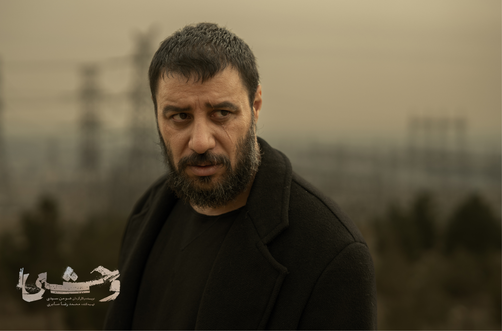 عکس های وحشی ۲