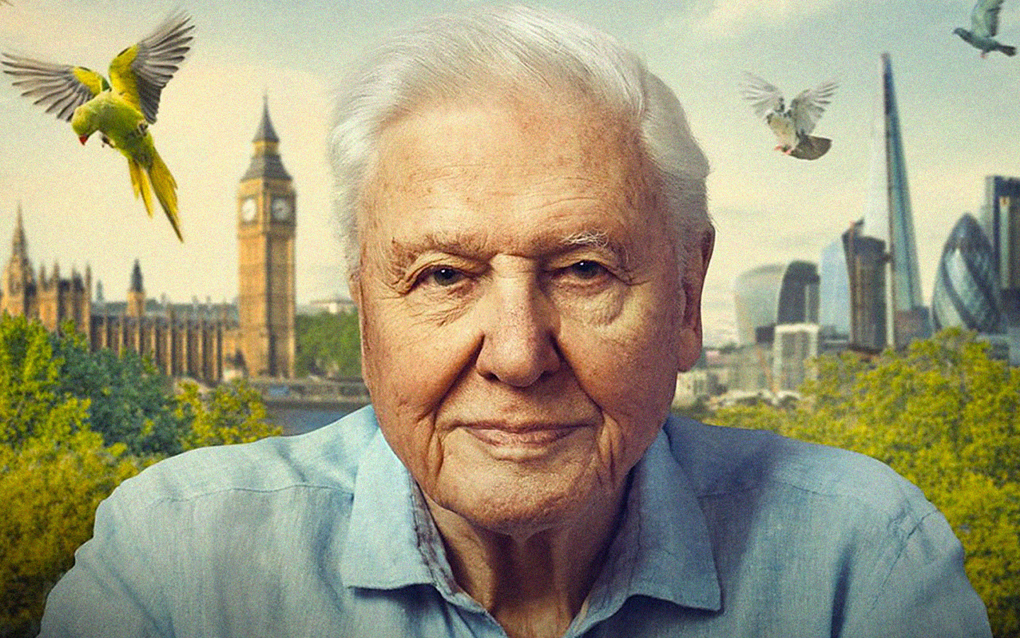 5 مستندی که ذهنتان را تسخیر می‌کند