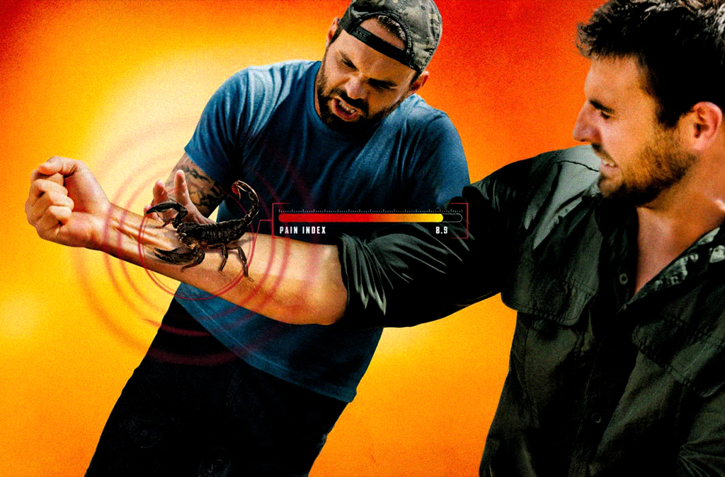 درد به‌ مثابه دانش/ چرا «پادشاهان درد» صرفا نمایش رنج نیست؟