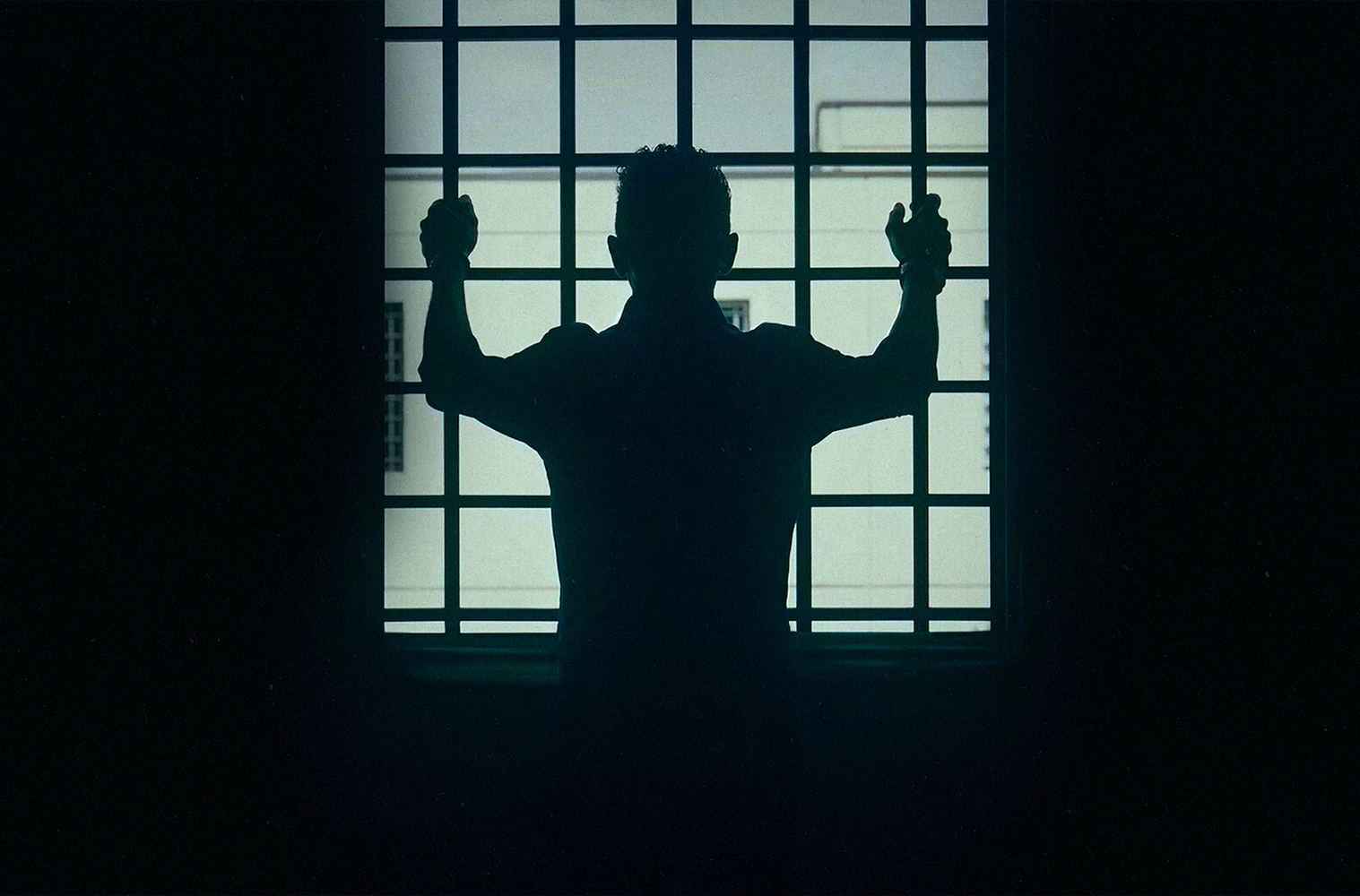 سفر به دل حقیقت با تازه‌ترین مستندهای فیلم نت